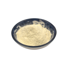 Natural bulk lactobacillus rhamnosus  probiotic powder for health food